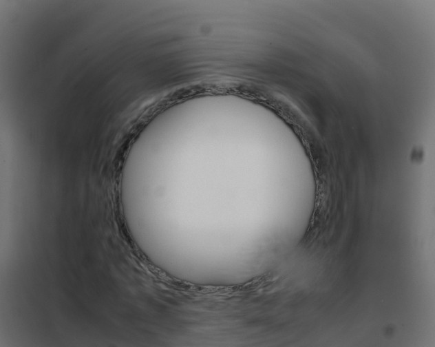 X0000102480773200808081032