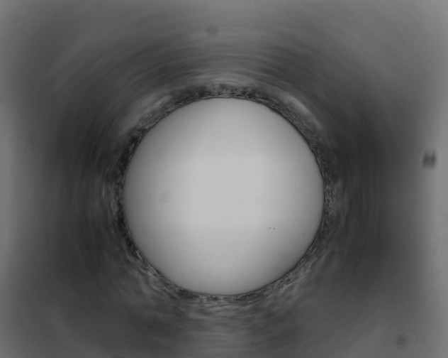 X0000102480774200808081032