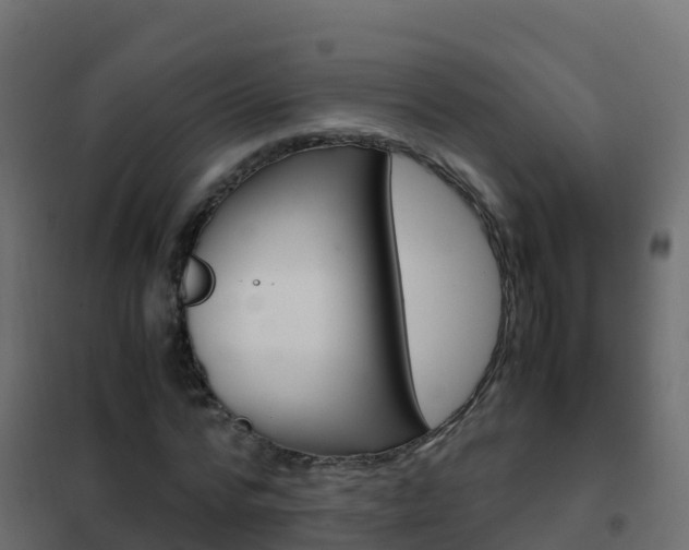 X0000102480776200808081032