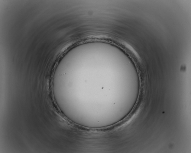 X0000102480777200808081032