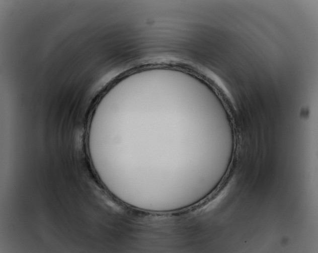 X0000102480778200808081032