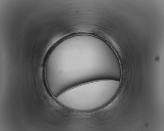 X0000102480779200808081032