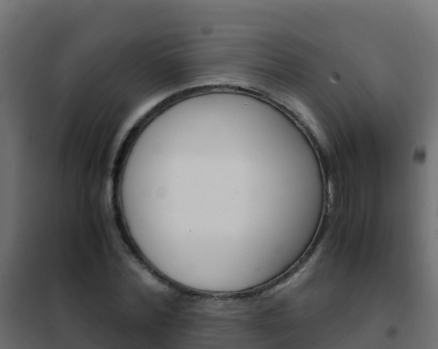 X0000102480780200808081032