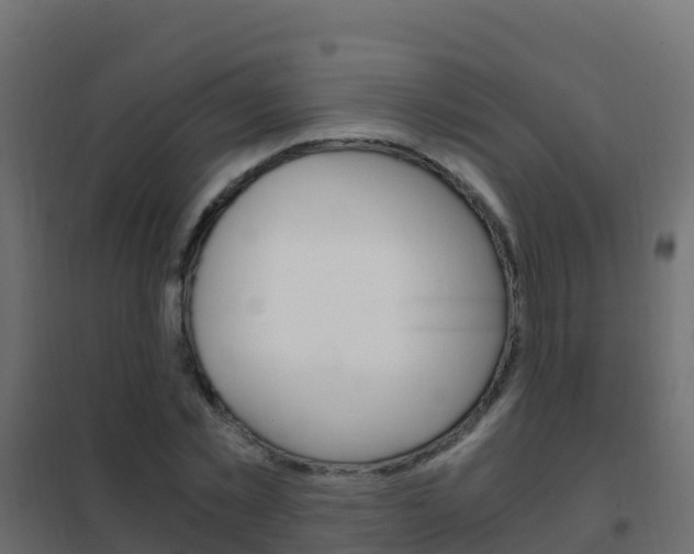 X0000102480781200808081032