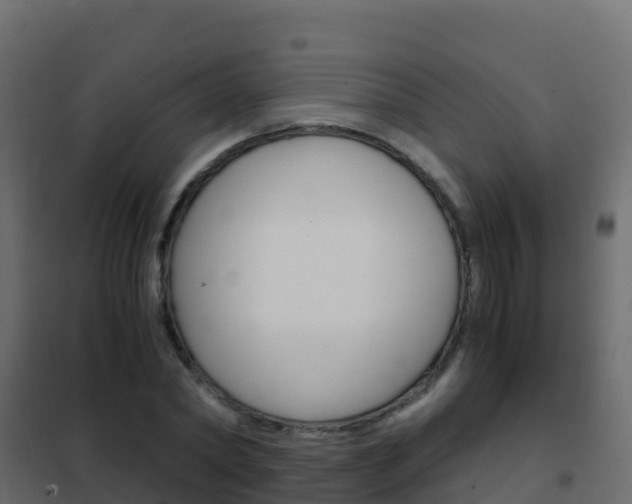X0000102480782200808081032