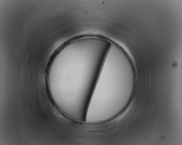 X0000102480783200808081032