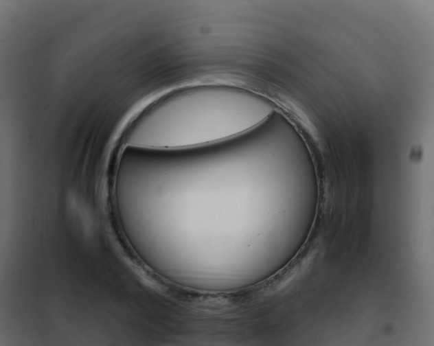 X0000102480784200808081032
