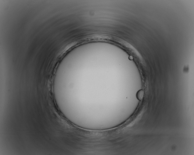X0000102480785200808081032