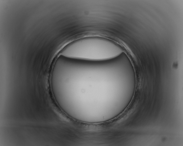 X0000102480786200808081032