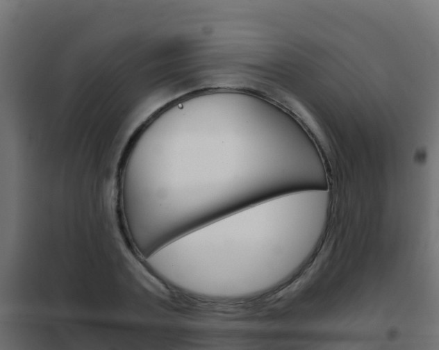 X0000102480787200808081032