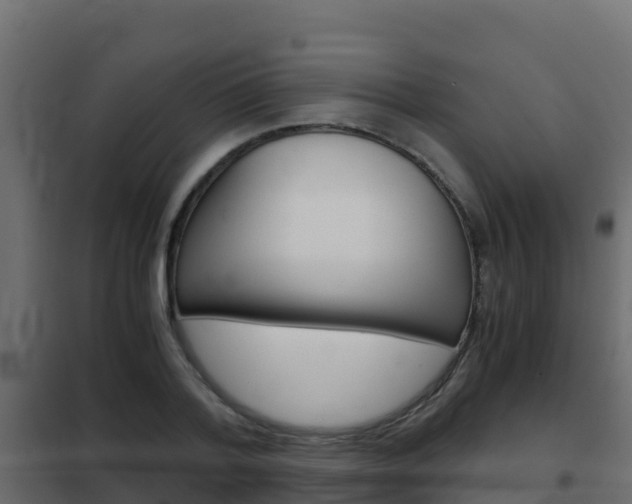 X0000102480788200808081032