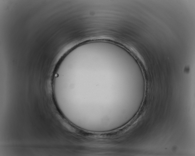 X0000102480789200808081032