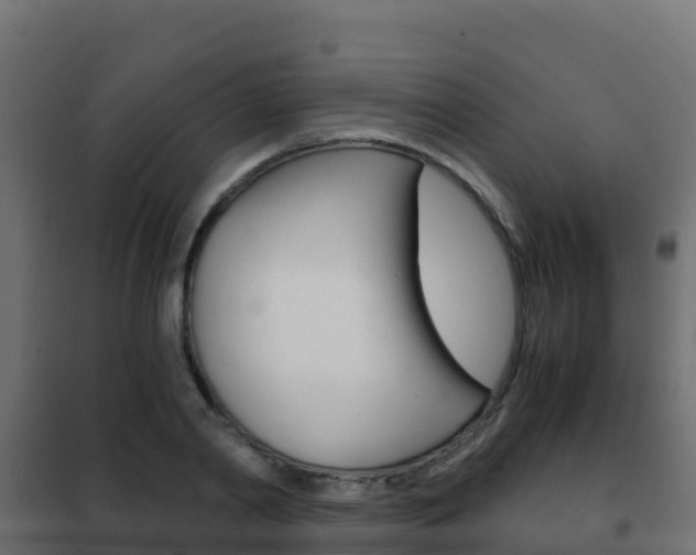 X0000102480790200808081032