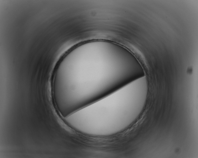 X0000102480792200808081032