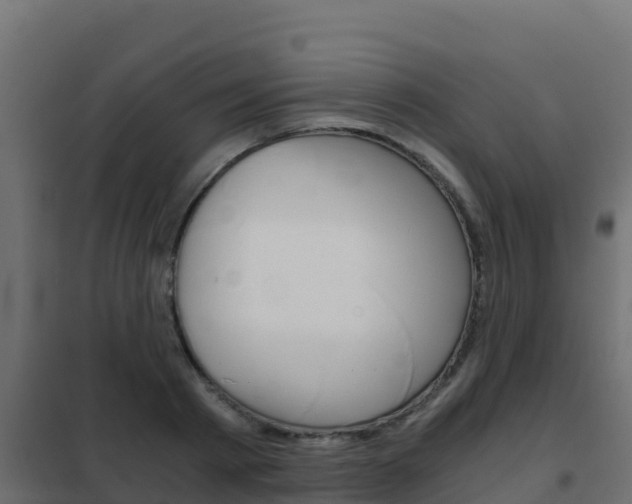 X0000102480793200808081032