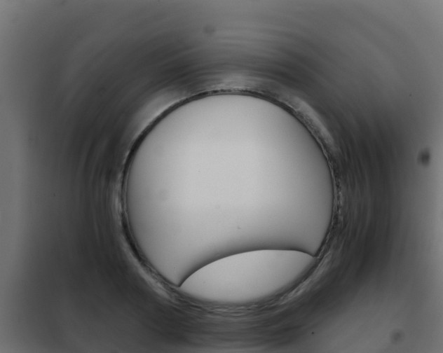 X0000102480794200808081032