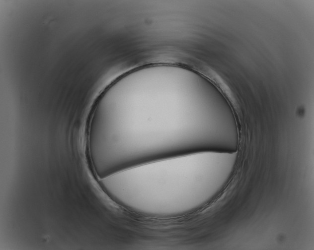 X0000102480795200808081032