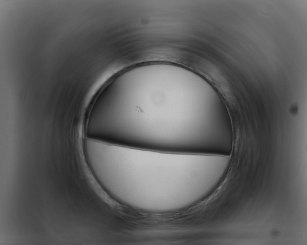 X0000102480796200808081032