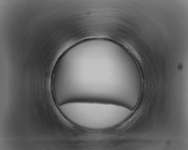 X0000102480797200808081031