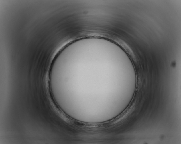 X0000102480798200808081031