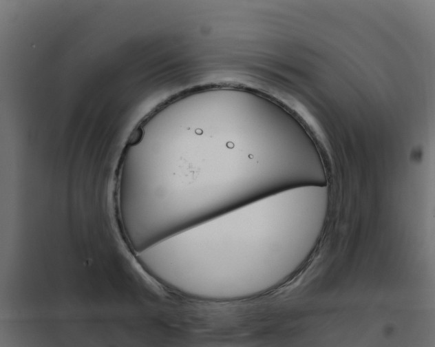 X0000102480799200808081031