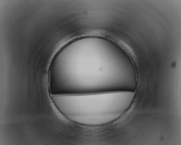 X0000102480800200808081031
