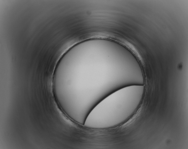 X0000102480802200808081031