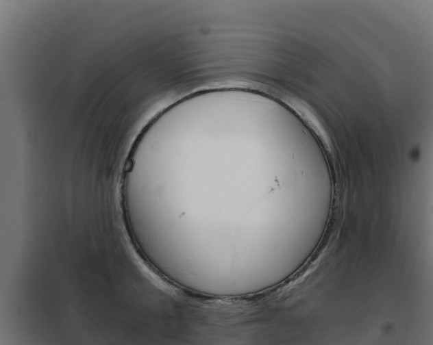 X0000102480805200808081031