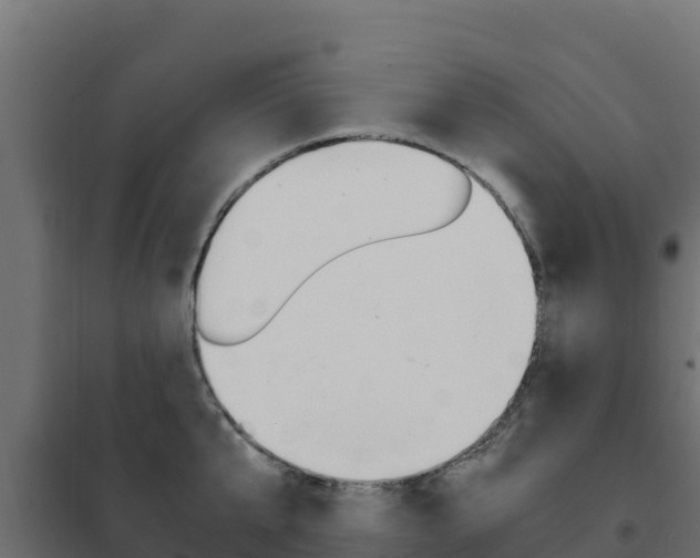 X0000102480807200808081031