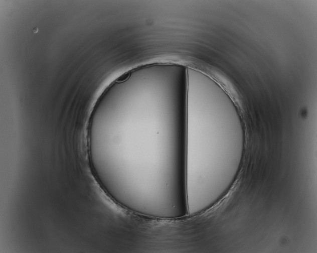 X0000102480808200808081031