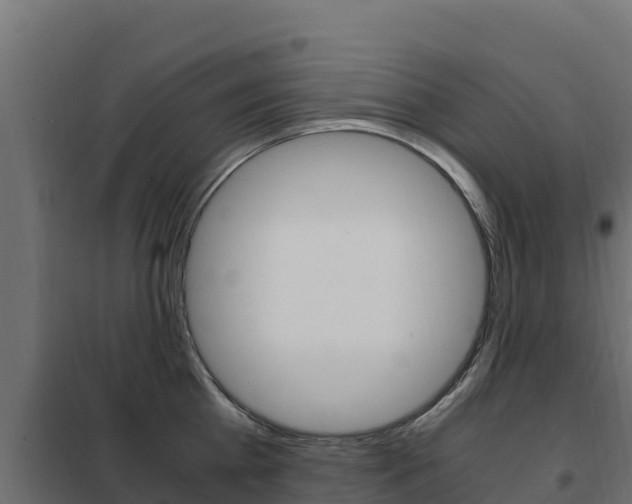 X0000102480809200808081031
