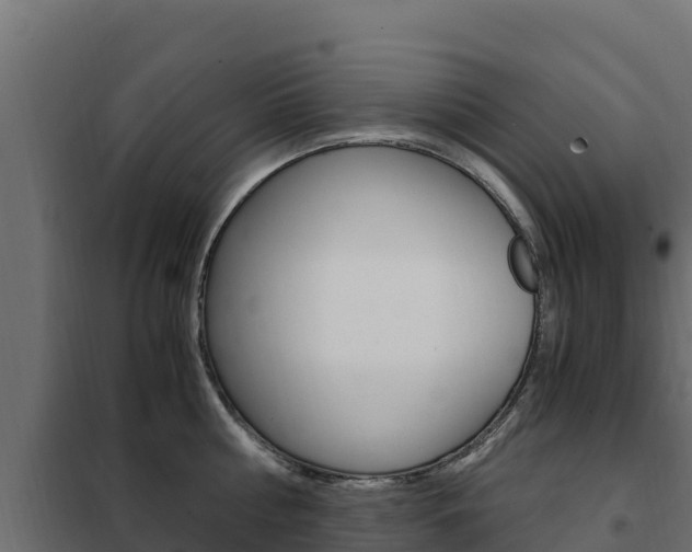 X0000102480810200808081031