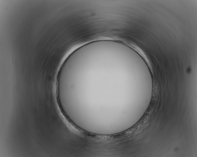X0000102480811200808081031