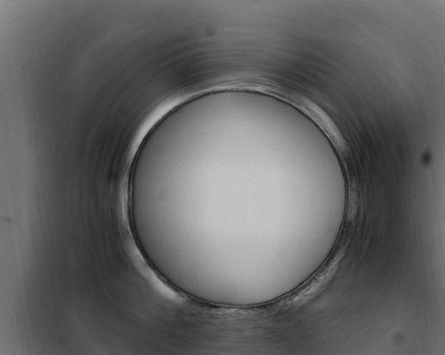 X0000102480812200808081031