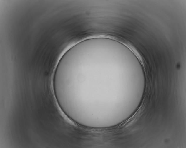 X0000102480813200808081031
