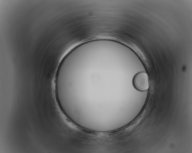 X0000102480814200808081031
