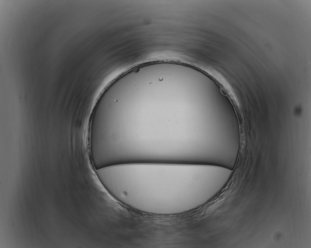 X0000102480815200808081031