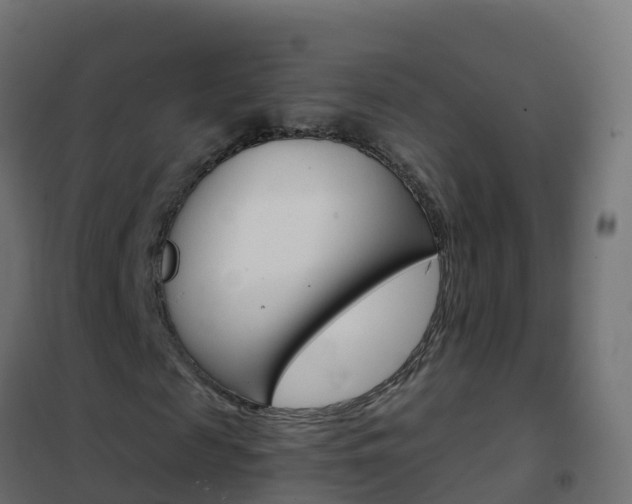 X0000102480817200808081031