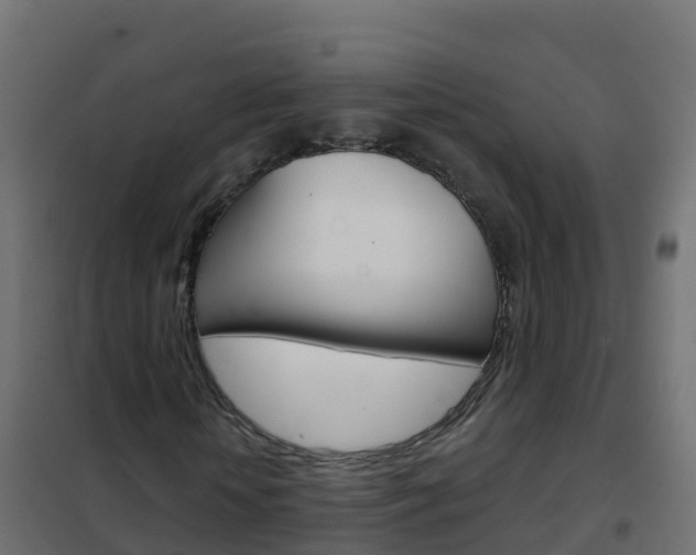 X0000102480818200808081031