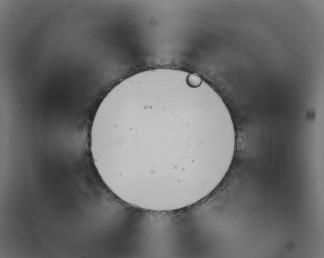 X0000102480820200808081031