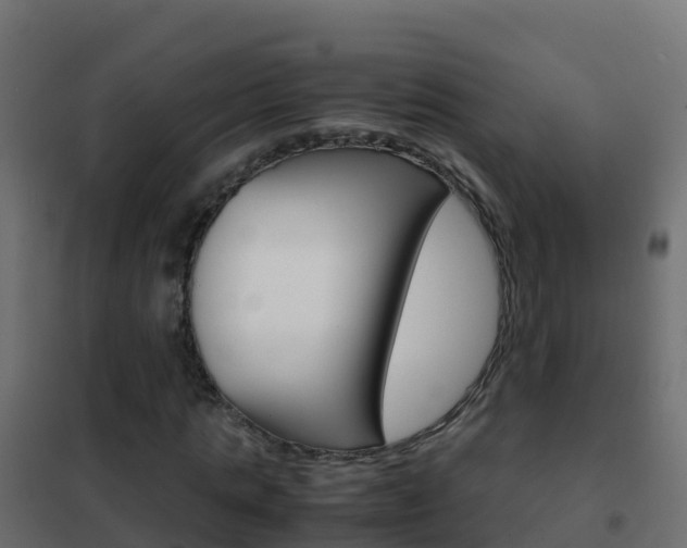 X0000102480821200808081031