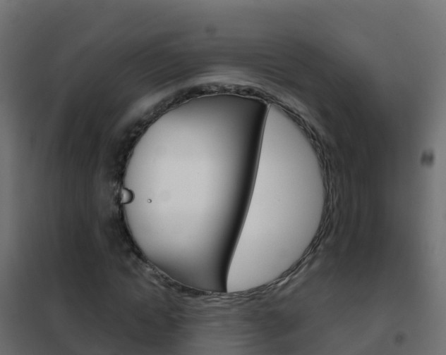 X0000102480822200808081031