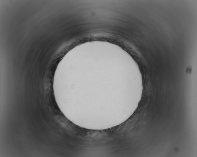 X0000102480824200808081031