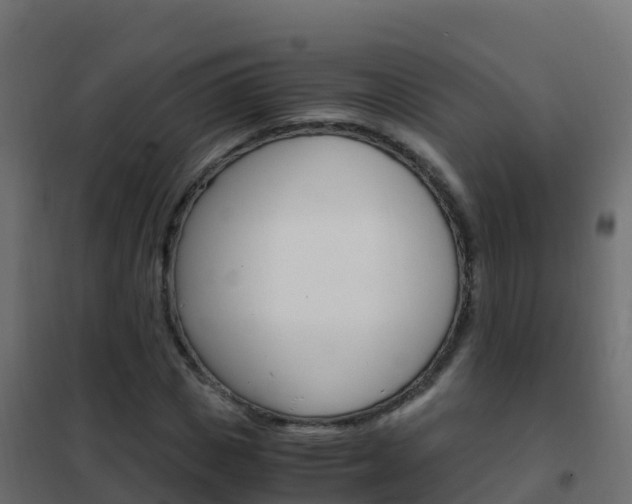 X0000102480825200808081031