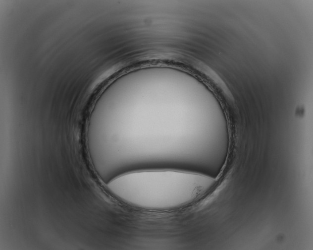 X0000102480826200808081031