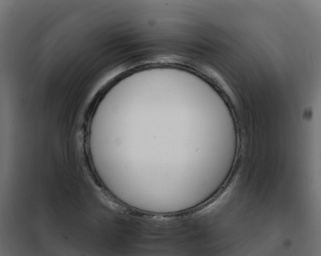 X0000102480827200808081031