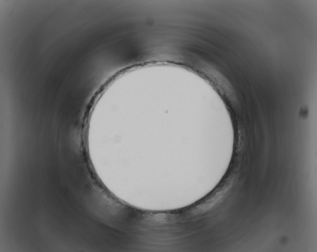 X0000102480828200808081031