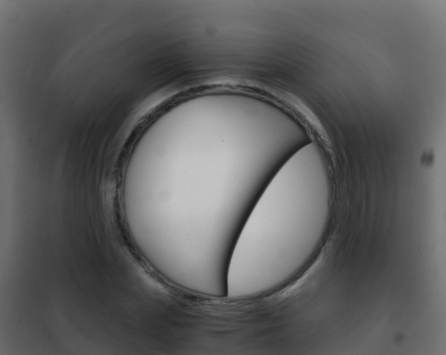 X0000102480831200808081031