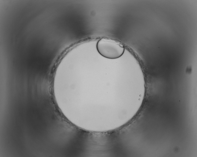 X0000102480832200808081031
