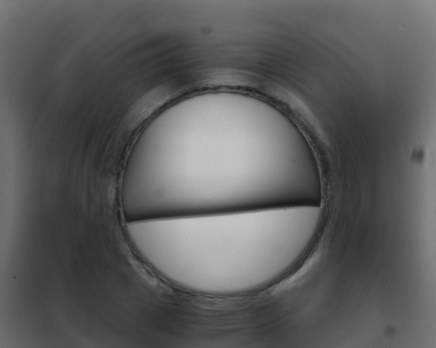 X0000102480833200808081031